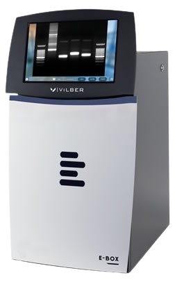Fotodocumentador VILBER fluorescência e colorimetria E-Box CX5