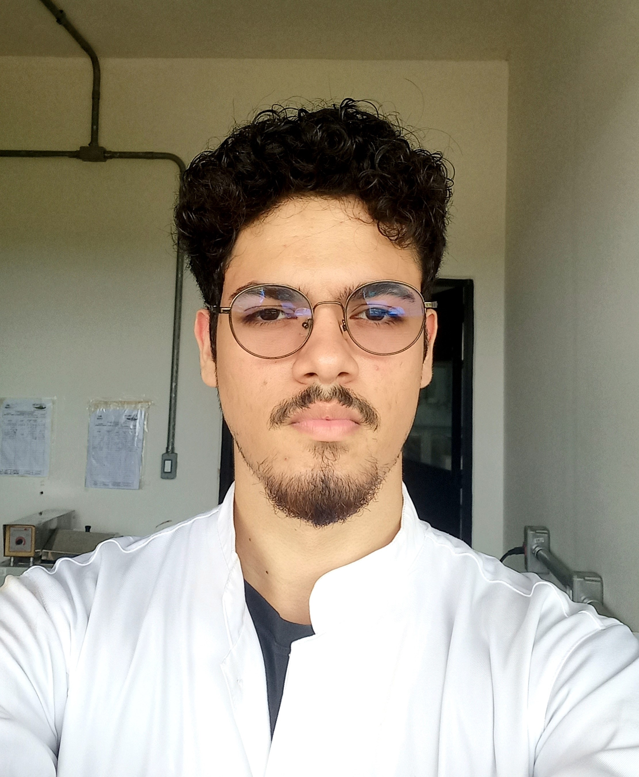 João Pedro Melo Gomes