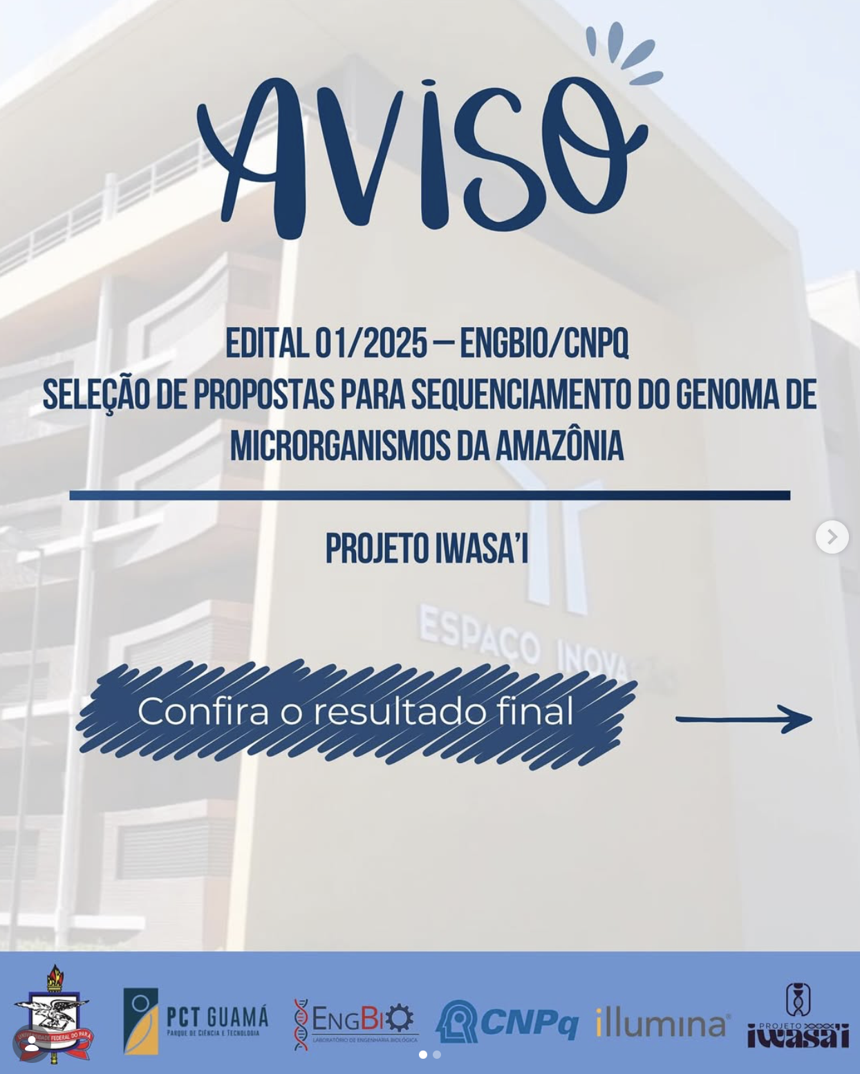 Resultado Final – Edital 01/2025 (Projeto IWASA’I)